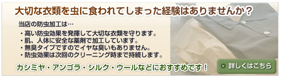 ��؂Ȉߗނ𒎂ɐH���Ă��܂����o���͂���܂��񂩁H